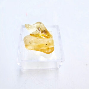 Natural Honey Amber Specimen