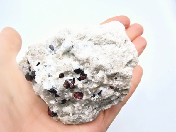 Red Pyrope Garnet in Feldspar Matrix C (260g) - Image 2
