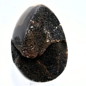 Septarian Geode