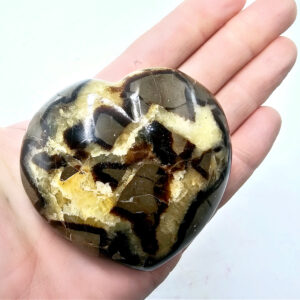 Septarian Polished Heart
