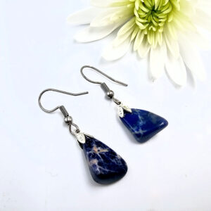 Sodalite Drop Earrings (Stainless Steel)