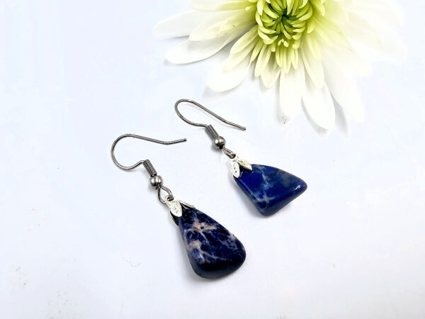 Sodalite Drop Earrings Stainless Steel