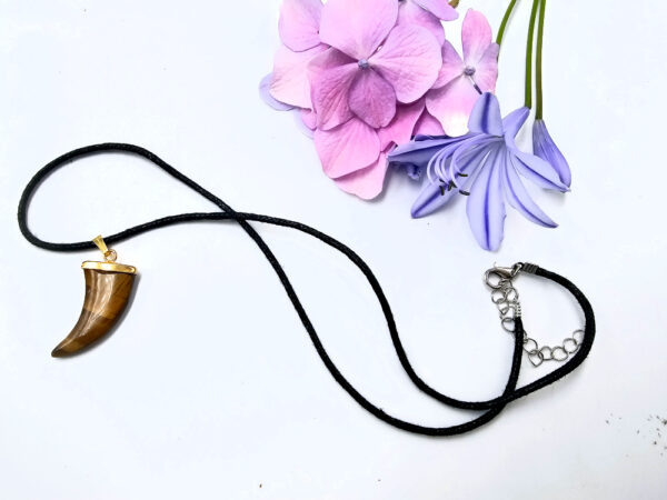 Tigers Eye Claw Necklace - Image 2