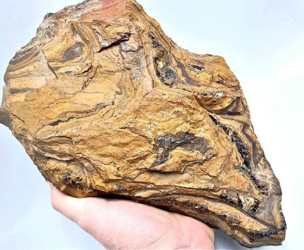 Tigers Eye Rough Chunk A (4.25kg) - Image 2