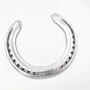 Good Luck Horse Shoe (Silver)