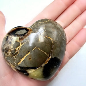 Septarian Polished Heart A (244g)