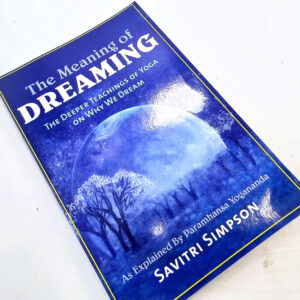 The Meaning of Dreaming book by Savitri Simpson