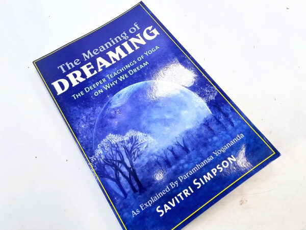 The Meaning of Dreaming book by Savitri Simpson