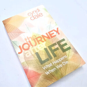The Journey after Life book