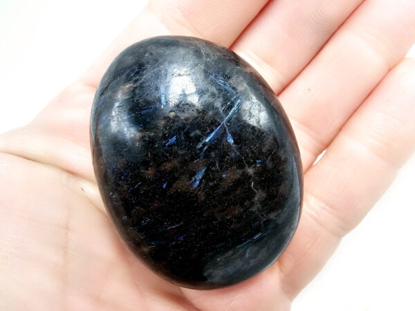 Astrophyllite Palm Stone A (89g) - Image 2