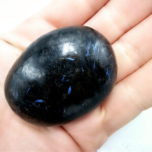 Astrophyllite Palm Stone
