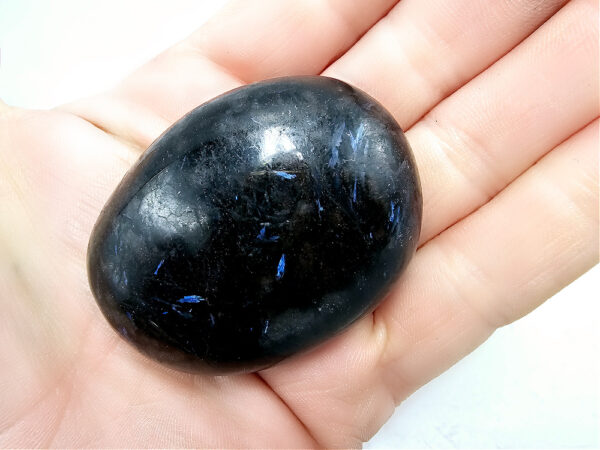Astrophyllite Palm Stone