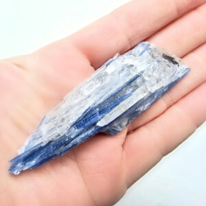 Blue Kyanite Cluster with Quartz