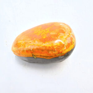 Bumble Bee Jasper Polished