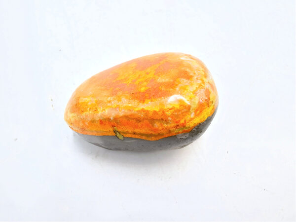 Bumble Bee Jasper Polished