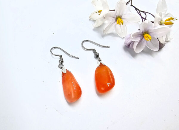 Carnelian Drop Earring (Stainless Steel)