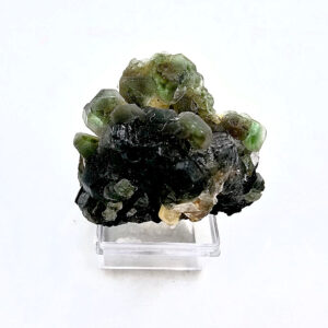 Erongo Fluorite C (34g) Tourmaline