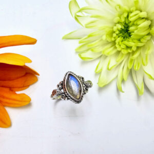 Labradorite Diamond Shape Dbl  Leaf Ring (925 Silver)