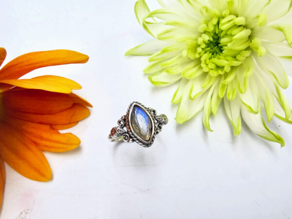 Labradorite Diamond Shape Dbl  Leaf Ring (925 Silver)