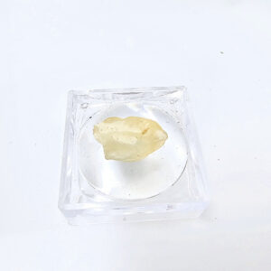 Libyan Desert Glass