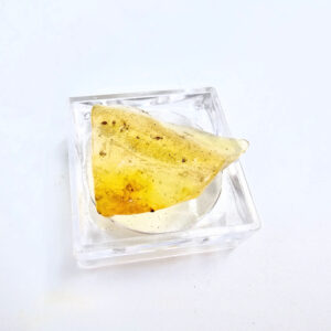 Natural Honey Gold Copal Amber