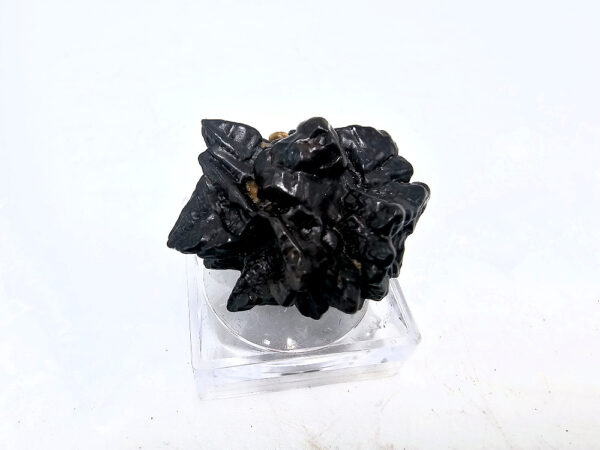 Prophecy Stone