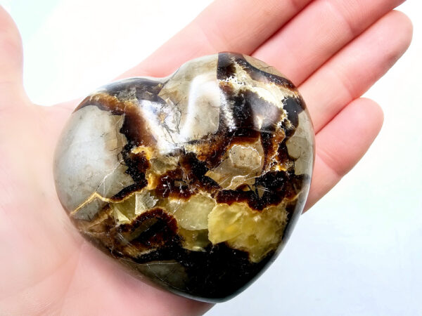 Septarian Polished Heart