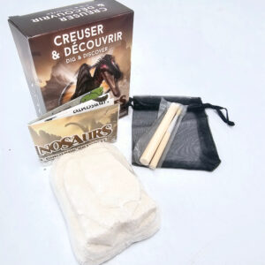 Dinosaur DIY Dig Out Kids Fossil Pack