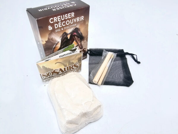 Dinosaur DIY Dig Out Kids Fossil Pack