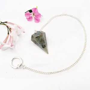 Labradorite Pendulum Point