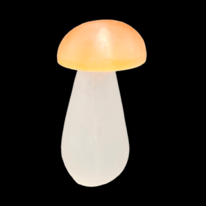 Selenite Mushroom