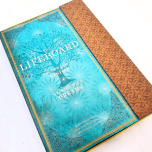 The Lifeboard by Sue Shifrin-Cassidy