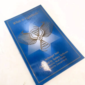 What Is Lightbody? book by Tashira Tachi-ren