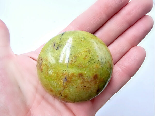 *Green Opal Palm Stone F (112g) Rare