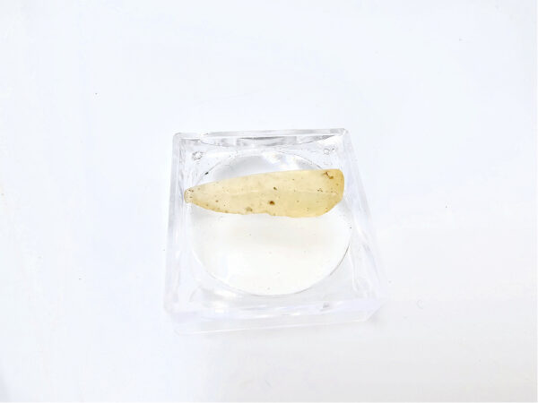 Libyan Desert Glass M (0.6g)