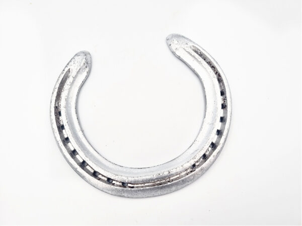 Good Luck Horse Shoe (Silver)