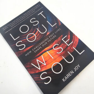 Lost Soul Wise Soul book