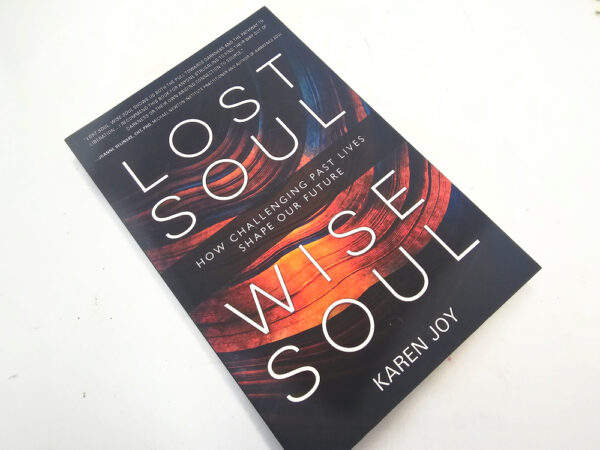 Lost Soul Wise Soul book