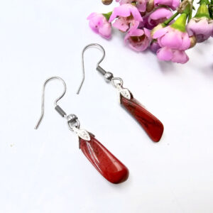 Red Jasper Drop Earrings (Stainless Steel)