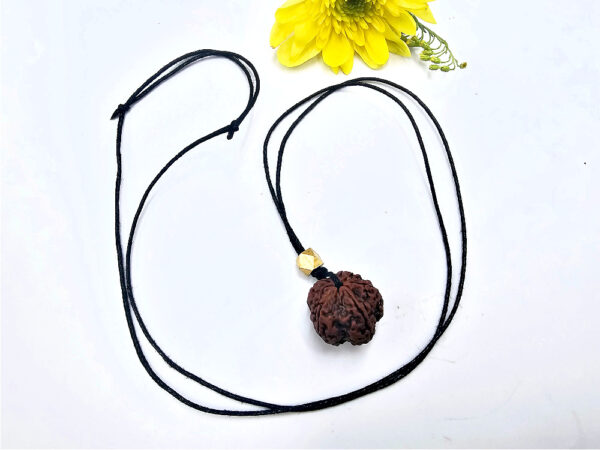 Rudraksha Bead Necklace (5 Mukhi) - Image 2
