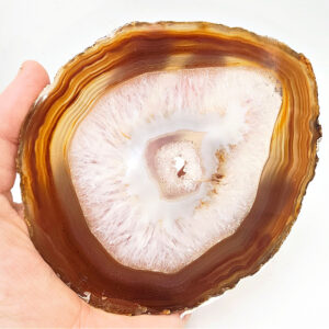 Agate Geode Slice Polished (Brown)