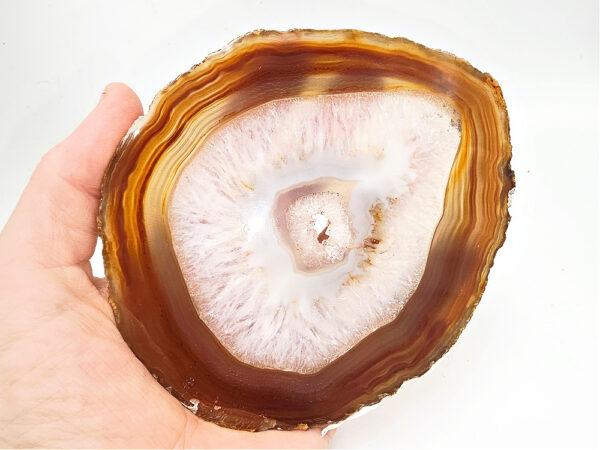 Agate Geode Slice Polished (Brown)