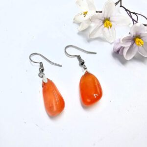 Carnelian Drop Earring (Stainless Steel)
