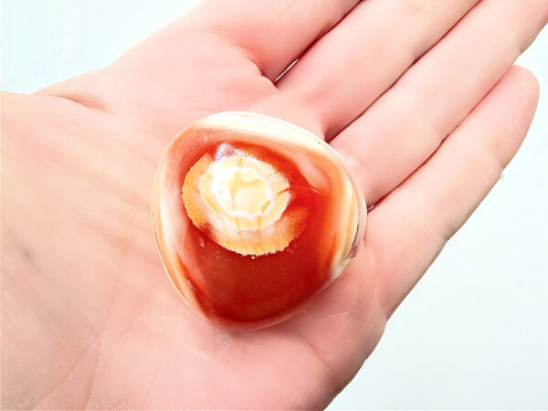 Carnelian Palm Stone