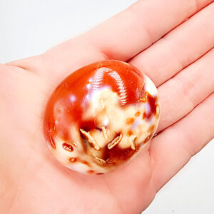 Carnelian Palm Stone