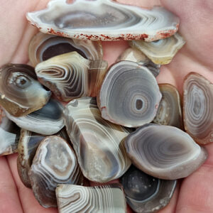 Mini Agate Crystal Slices (2-4cm)