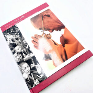 Journey for Peace (Matthieu Richard) Hard cover