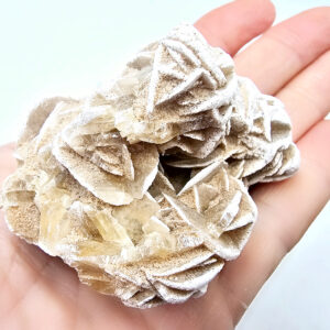 Desert Rose Selenite Specimen B (114g)