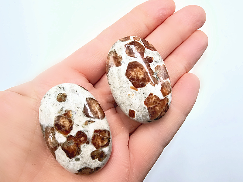 Garnet In Limestone Palm stone (4-5cm) Garnet In Limestone Palm stone (4-5cm)