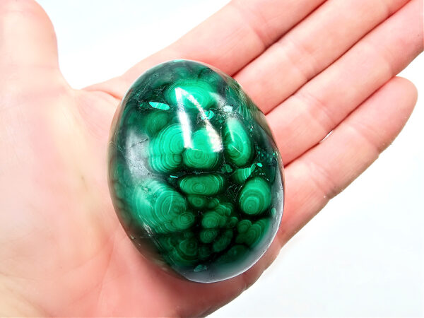 Green Malachite Polished Egg